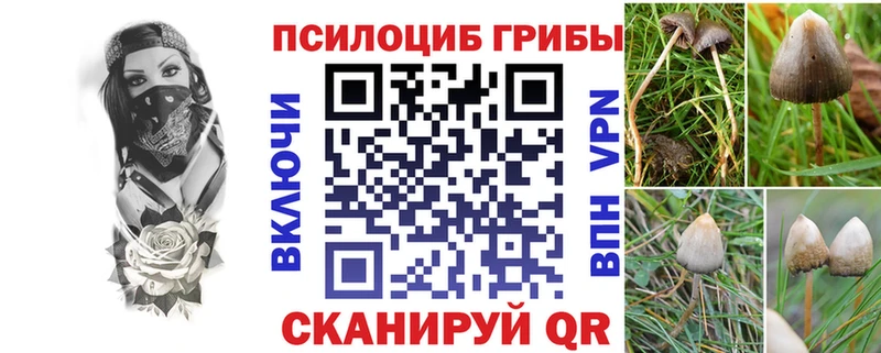 Галлюциногенные грибы мицелий Киреевск