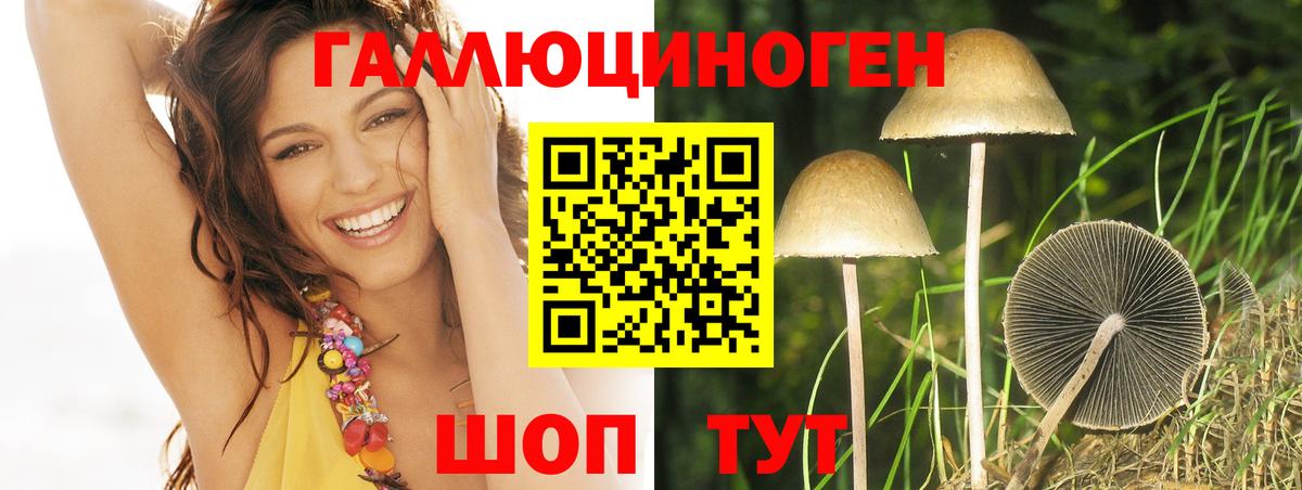 Киреевск  Псилоцибиновые грибы Cubensis  Вход с VPN 